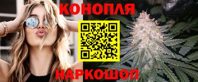 мяу мяу мука Новодвинск