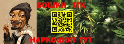 гашик Нарткала