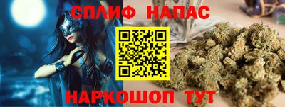 гашик Нарткала