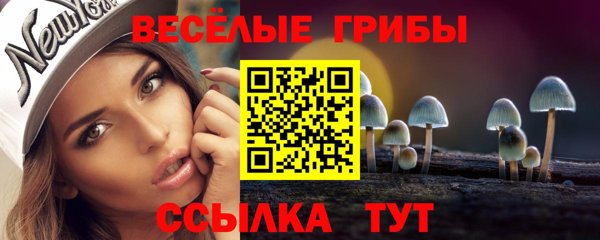 Троицк  Галлюциногенные грибы Psilocybine cubensis  Вход с VPN 