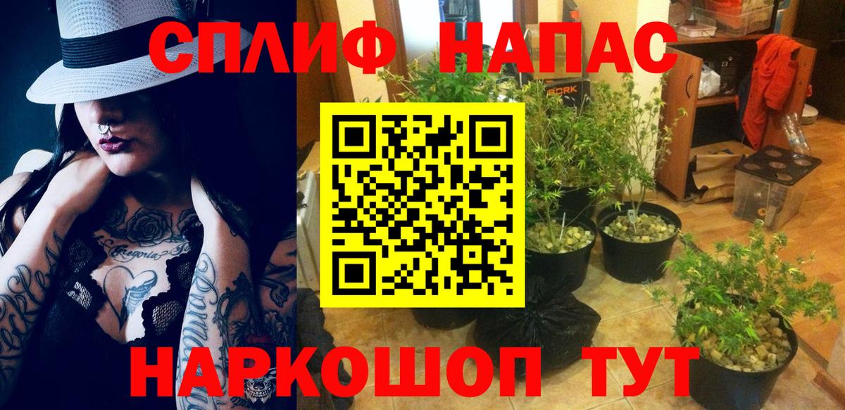 Марихуана семена  Конопля THC 21%  Вход с VPN  Шишки марихуана семена  Троицк 